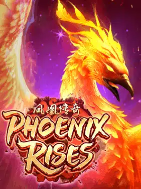 pgzeed Phoenix